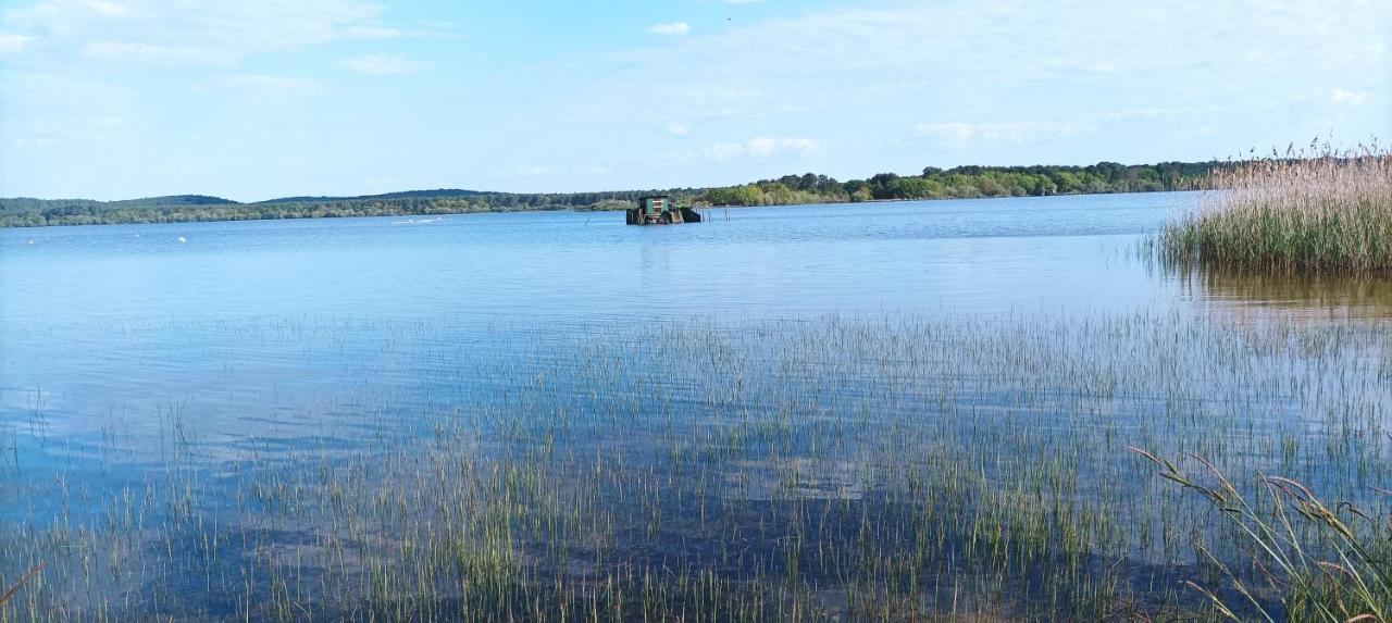 Aureilhan  Les Terrasses Du Lac Piscine Et Vue Lac A4 מראה חיצוני תמונה