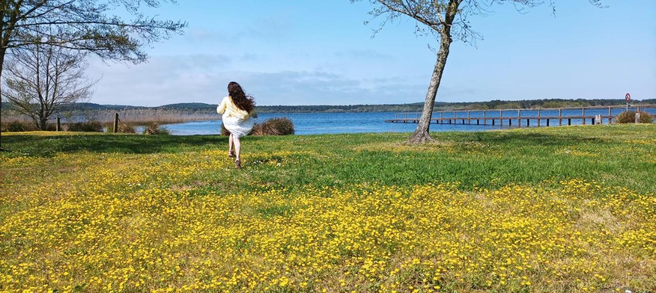 Aureilhan  Les Terrasses Du Lac Piscine Et Vue Lac A4 מראה חיצוני תמונה