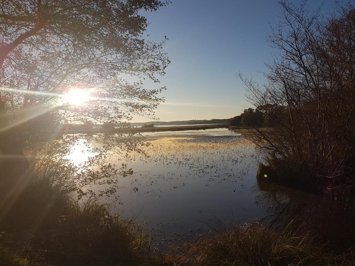 Aureilhan  Les Terrasses Du Lac Piscine Et Vue Lac A4 מראה חיצוני תמונה